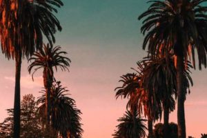 Grants for Low Income in California